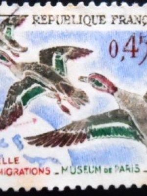 Selo postal da França de 1960 Common Teal U