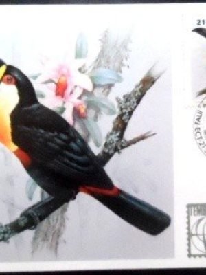 Máximo Postal nº 78 de 1983 Tucano de Bico Preto