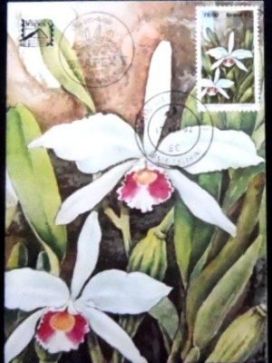 Máximo postal nº 68 de 1982 Laelia purpurata