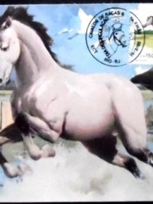 Máximo Postal nº 108 de 1985 Marajoara