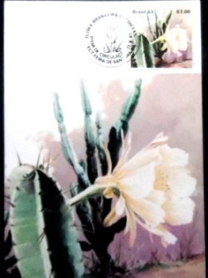 Máximo Postal nº 84 de 1983 Mandacaru