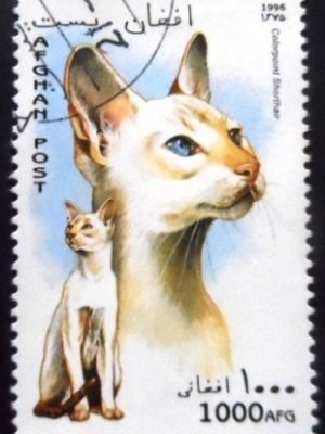 Selo postal do Afeganistão de 1996 Colourpoint Shorthair NCC