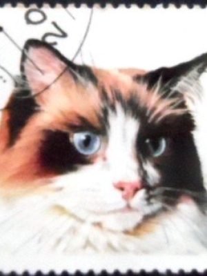 Selo postal do Afeganistão de 1997 Ragdoll NCC