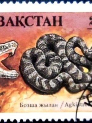 Selo postal do Kasaquistão de 1994 Siberian Pit Viper NCC