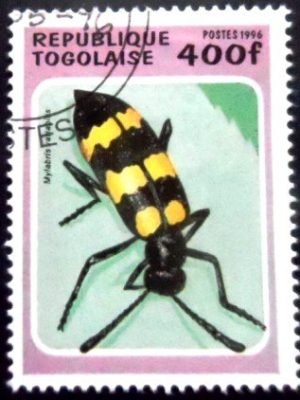 Blister Beetle