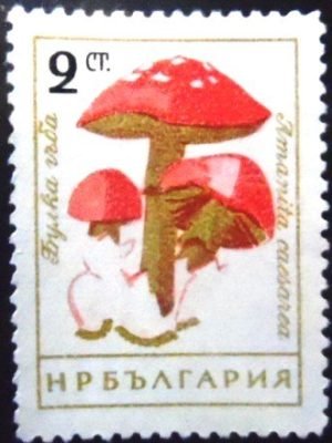 Selo postal da Bulgária de 1961 Caesar's Mushroom N