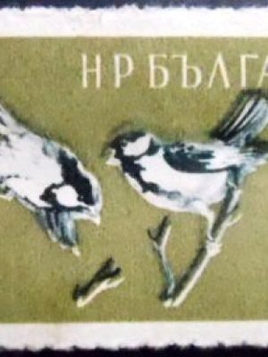 Selo postal da Bulgária de 1959 Great Tit NCC