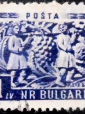 Selo postal da Bulgária de 1953 Scout from the Creek of Eshcol U