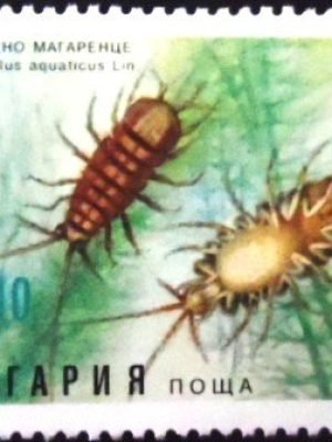 Selo postal da Bulgária de 1996 Waterlouse N
