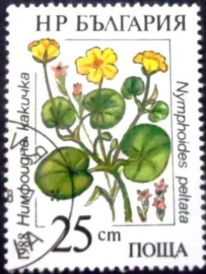 Selo postal da Bulgária de 1988 Fringed water-lily NCC