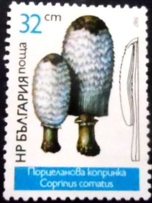 Selo ´postal da Bulgária de 1987 Coprinus comatus M