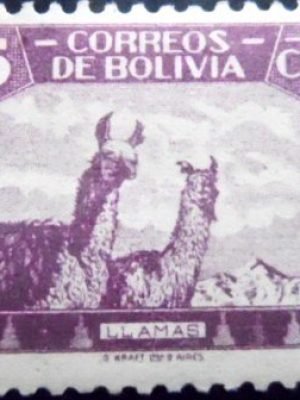 Selo postal da Bolívia de 1939 Llama 5 N