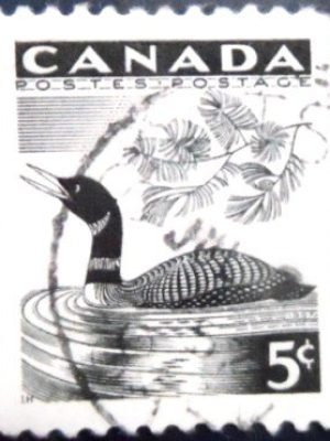 Selo postal do CAnadá de 1957 National Wild Life Week 1957 U