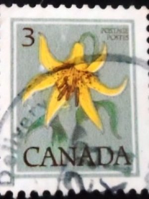 Selo postal do Canadá de 1979 Canada Lily 3 C U