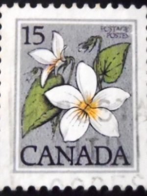 Selo postal do Canadá de 1979 Canada Violet 15 U sev