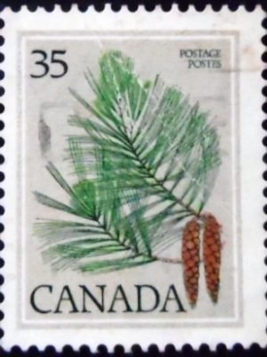 Selo postal do Canadá de 1979 Eastern White Pine U