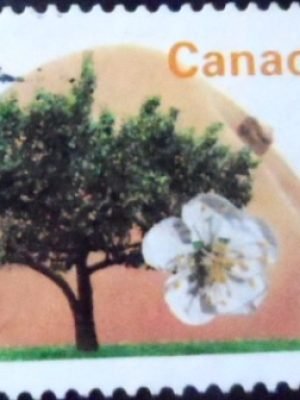 Selo postal do Canadá de 1994 Westcot Apricot 88 U