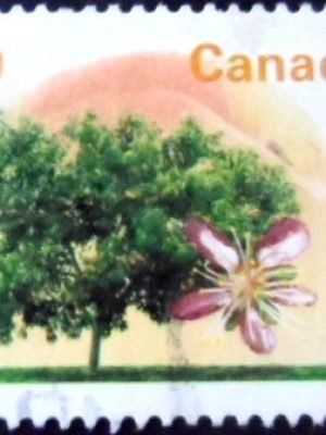Selo postal do Canadá de 1996 Elberta Peach 90 U