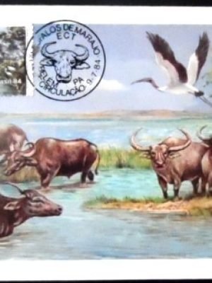 Máximo postal nº 103 de 1984 Búfalo Murrah