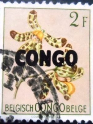 Selo postal do Congo Belga de 1960 Ansellia africana overprinted CONGO