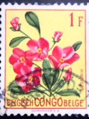 Selo postal do Congo Belga de 1952 Hibiscus rhodanthus U