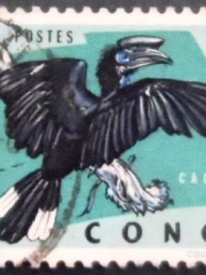 Selo postal da Rep Dem Congo de 1963 Black-casqued Hornbill U
