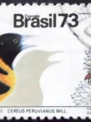 Imagem similar à do selo postal do Brasil de 1973 Jamacuru U