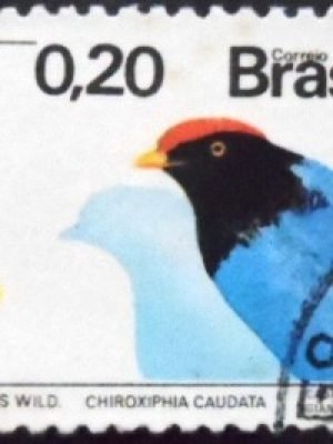 Imagem similar à do selo postal do Brasil de 1973 Acácia e Tangará U