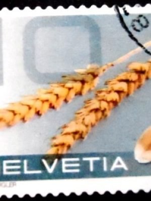Selo postal da Suiça de 2008 Wheat U