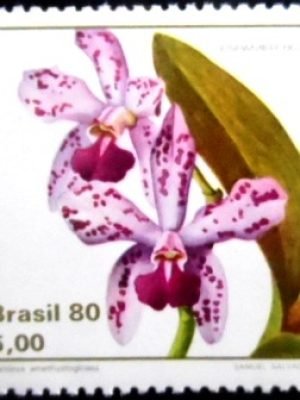 Selo postal do Brasil de 1980 Catleya N