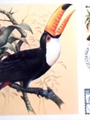 Máximo postal nº 75 de 1983 Tucanuçu