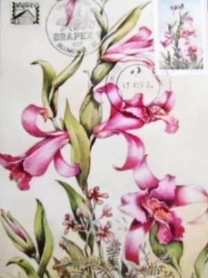 Máximo Postal nº 70 de 1982 Orquídea 85 SC 7924