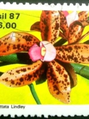 Selo postal COMEMORATIVO do Brasil de 1986 - C 1572 U