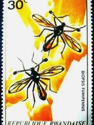 Selo postal de Ruanda de 1973 Stalk-eyed Fly