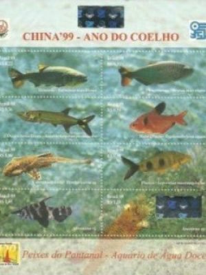 Bloco postal do Brasil de 1999 China 99 Ano do Coelho M
