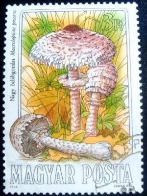 Selo postal da Hungria de 1984 Parasol NCC