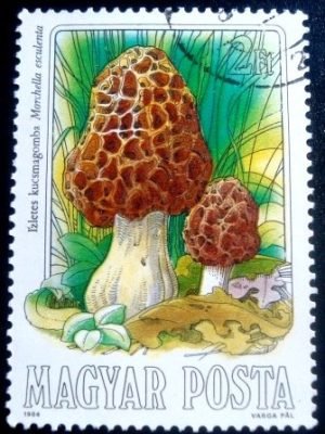 Selo postal da Hungria de 1984 Scotch Bonnet NCC