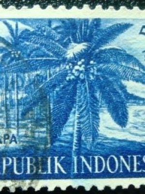 Imagem do produto ofertado - Se desejar peça mais detalhes