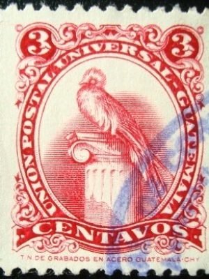 Imagem do produto ofertado - Se desejar peça mais detalhes