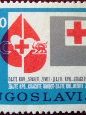 Imagem do produto ofertado - Se desejar peça mais detalhes