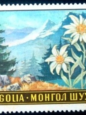 Selo postal da Mongólia de 1969 Leontopodium ochroleucum