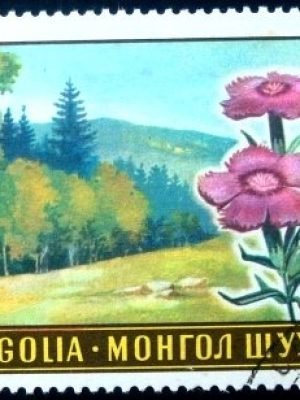 Selo postal da Mongólia de 1969 Dianthus prasinus