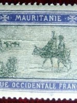 Imagem do produto ofertado - Se desejar peça mais detalhes