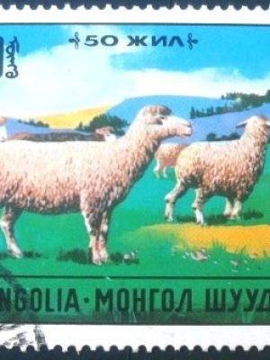 Selo postal da Mongólia de 1971 Domestic Sheep