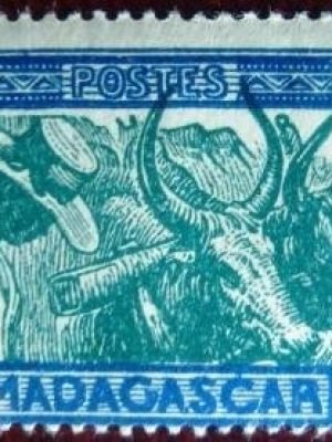 Imagem do produto ofertado - Se desejar peça mais detalhes