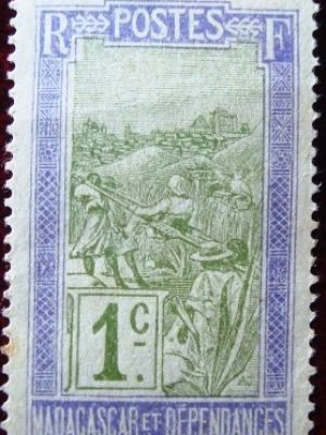 Imagem do produto ofertado - Se desejar peça mais detalhes