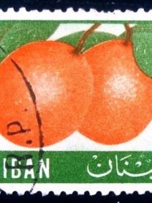 Selo postal do Líbano de 1955 Oranges 15p