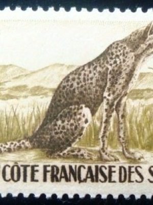 Selo postal da Somália de 1958 Cheetah