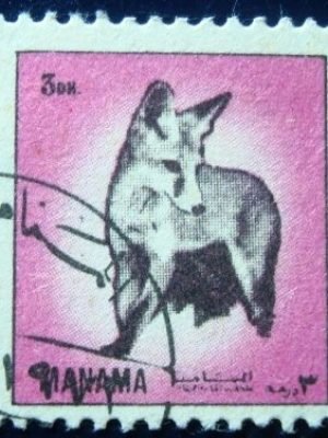 Imagem do produto ofertado - Se desejar peça mais detalhes