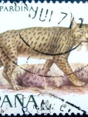 Selo postal da Espanha de 1971 Iberian Lynx U